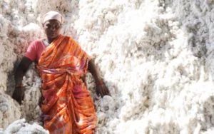 Comment se certifier Fairtrade quand on est une marque textile ?