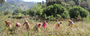 C'est quoi Fairtrade ?