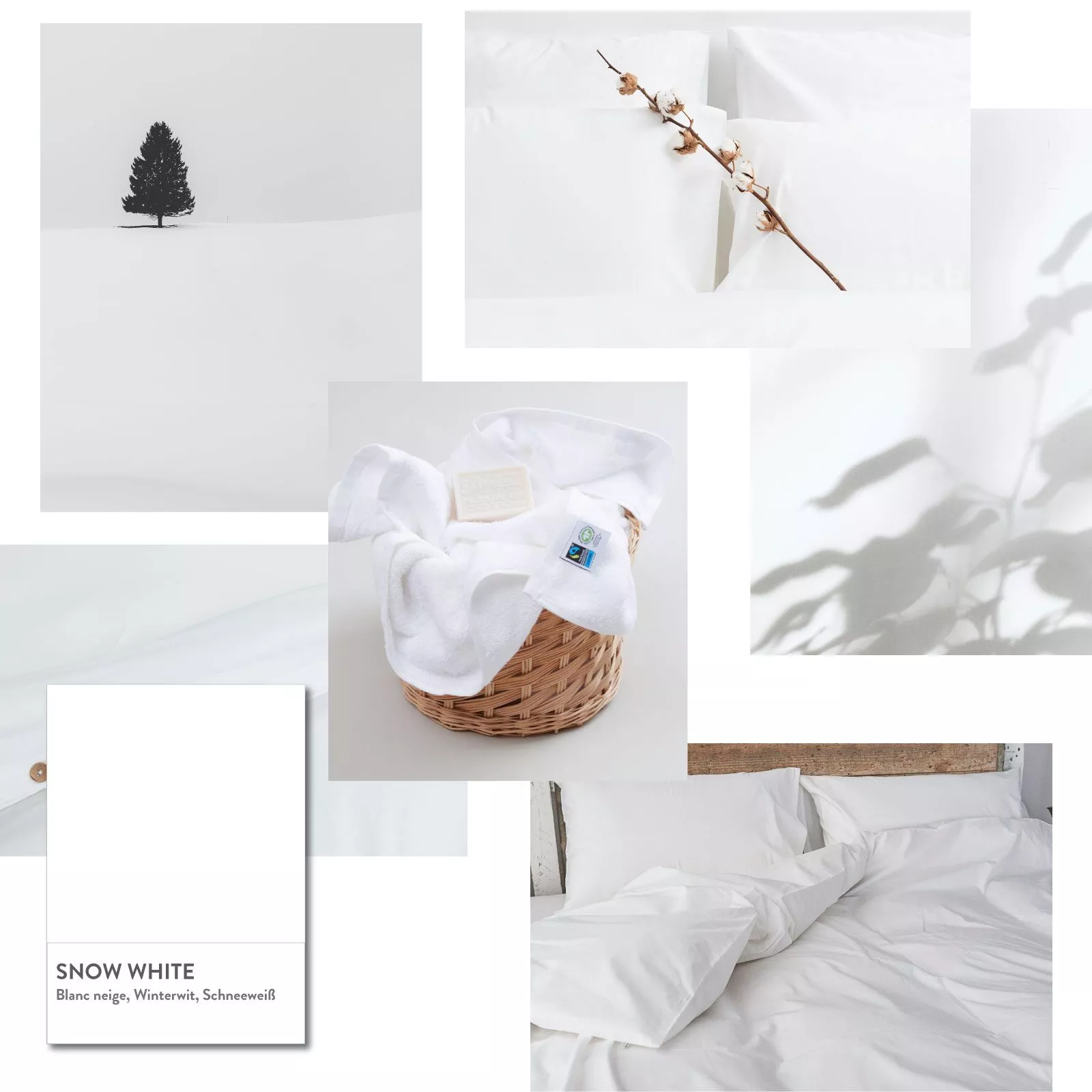 Colours-snow-white-kalani Colours-snow-white-kalani