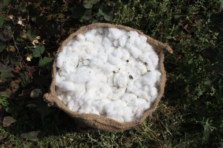 Why all cottons are not equal?