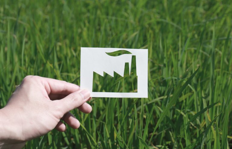 What is Greenwashing ?