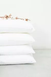 Kalani blogpost reference