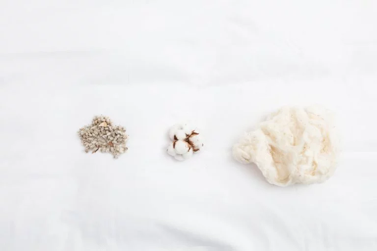 Egyptian cotton versus long staple fibre cotton, beware of amalgams!