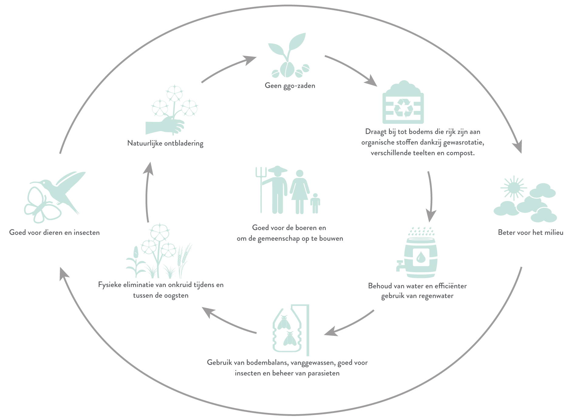 Production_Organic_Cotton_EN