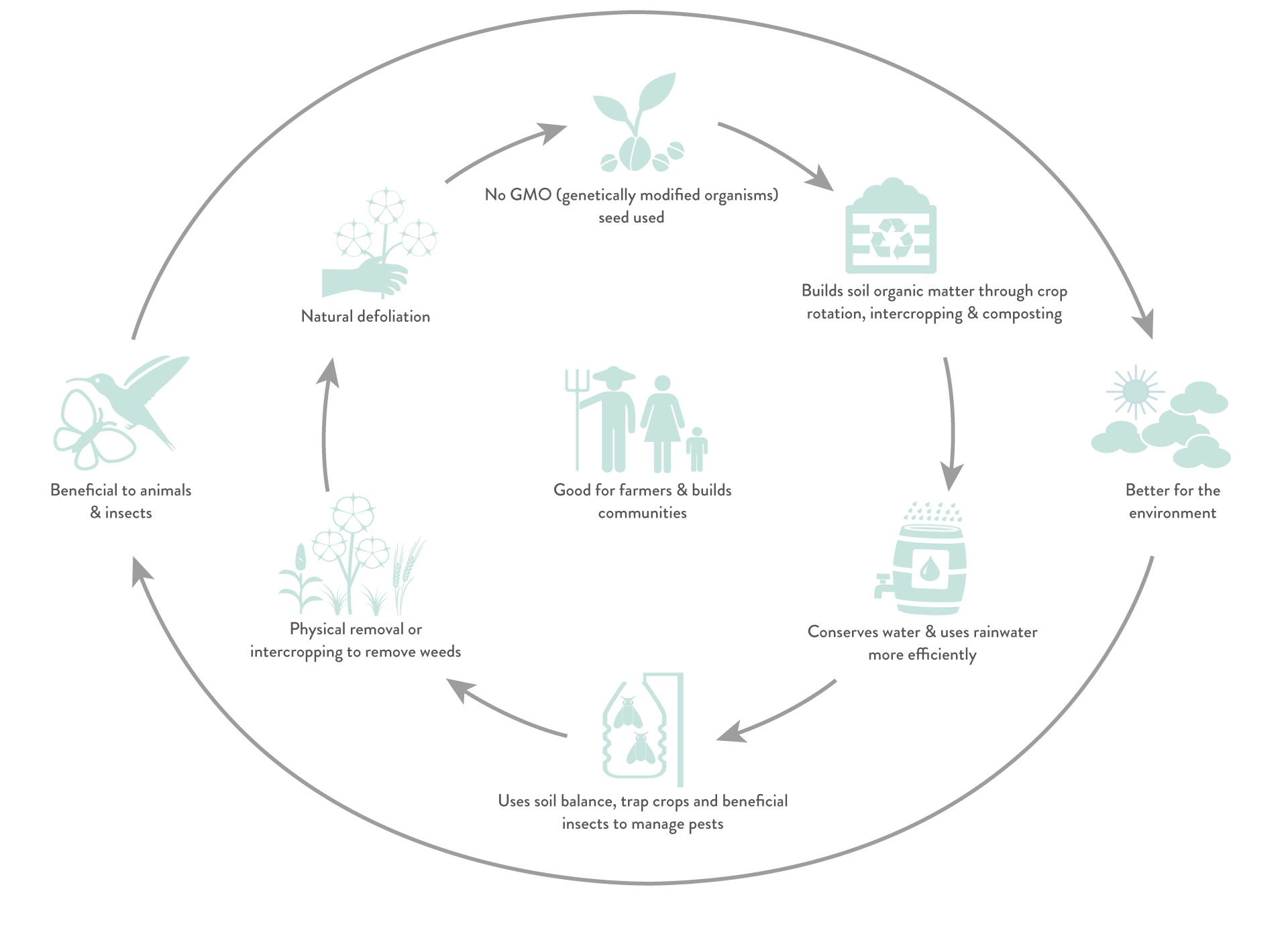 Production_Organic_Cotton_EN