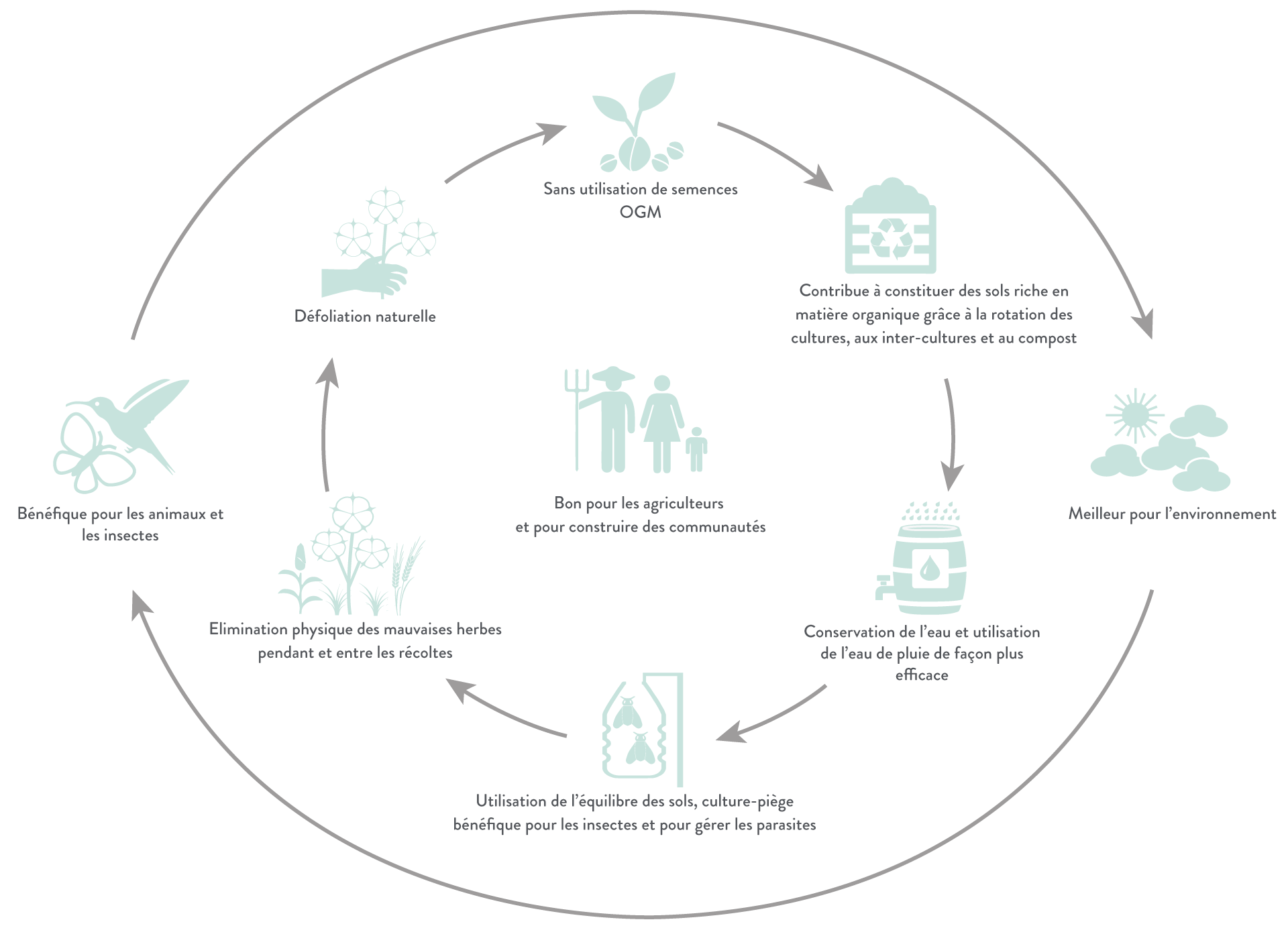 Production_Organic_Cotton_EN