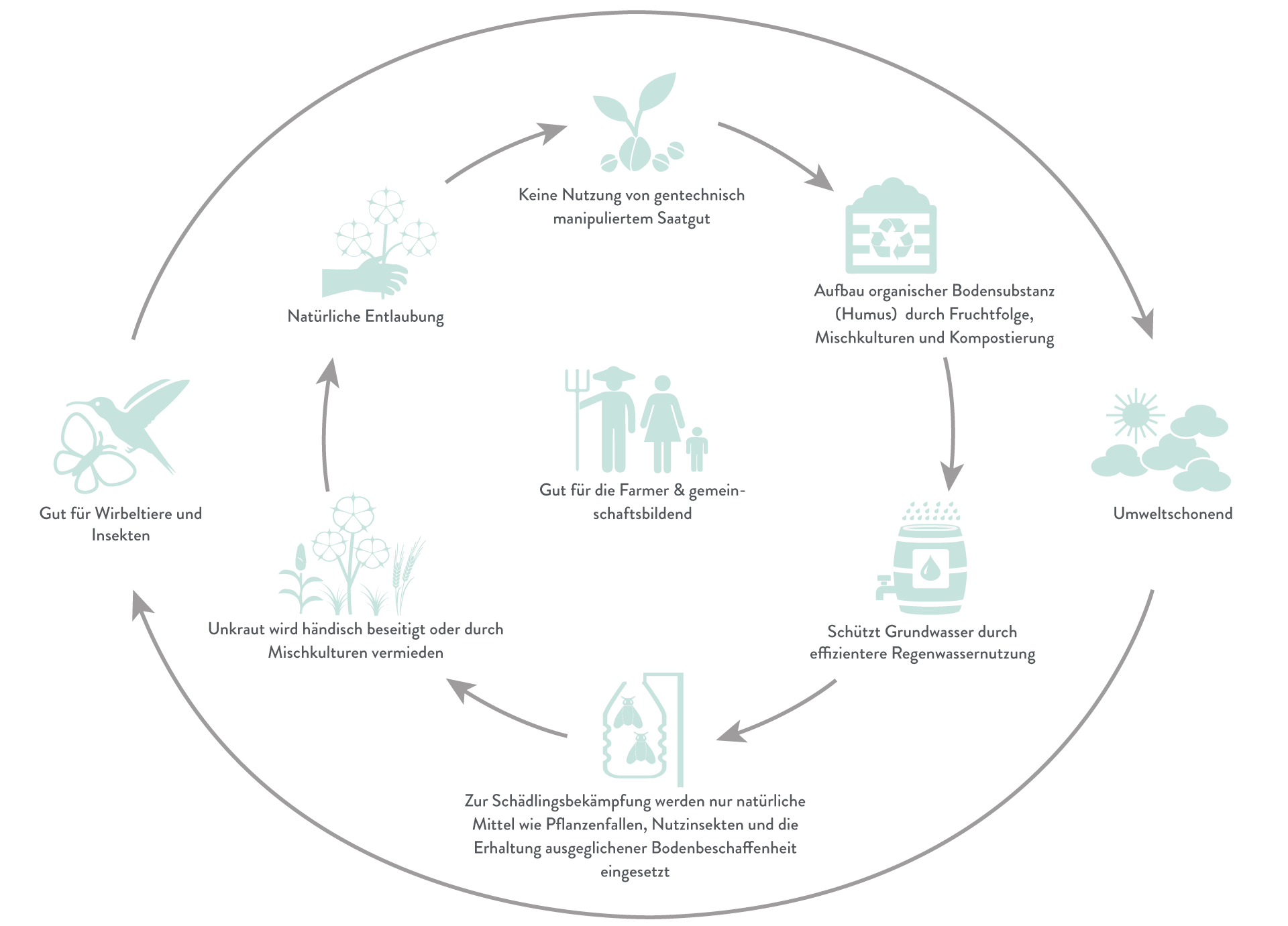 Production_Organic_Cotton_EN