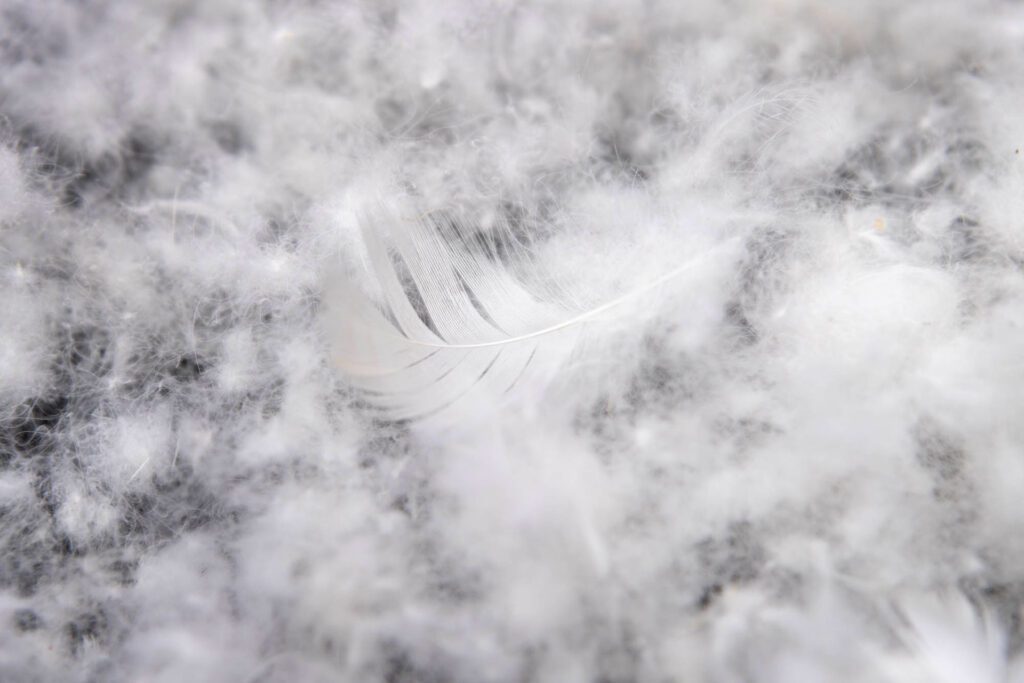 The unrivalled advantages of duvets and pillows made from duck down and