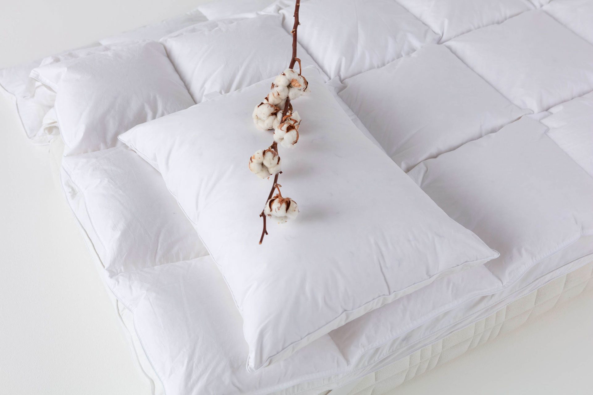 The unrivalled advantages of duvets and pillows made from duck down and