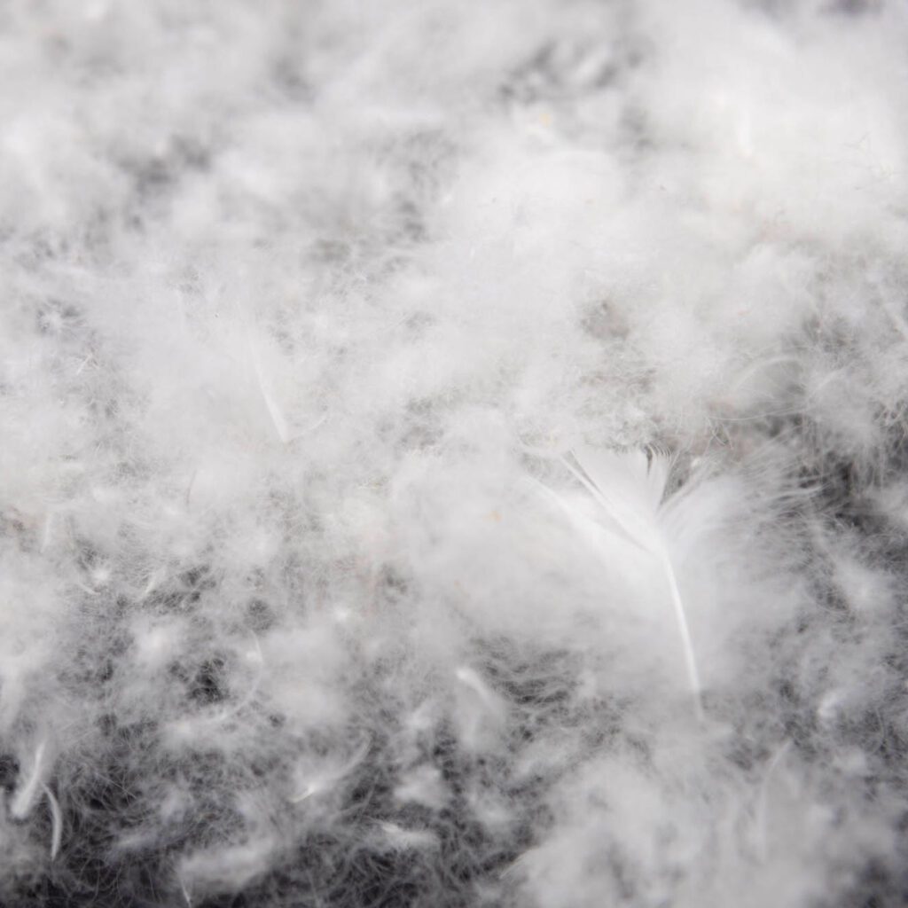 duvet-feathers-2