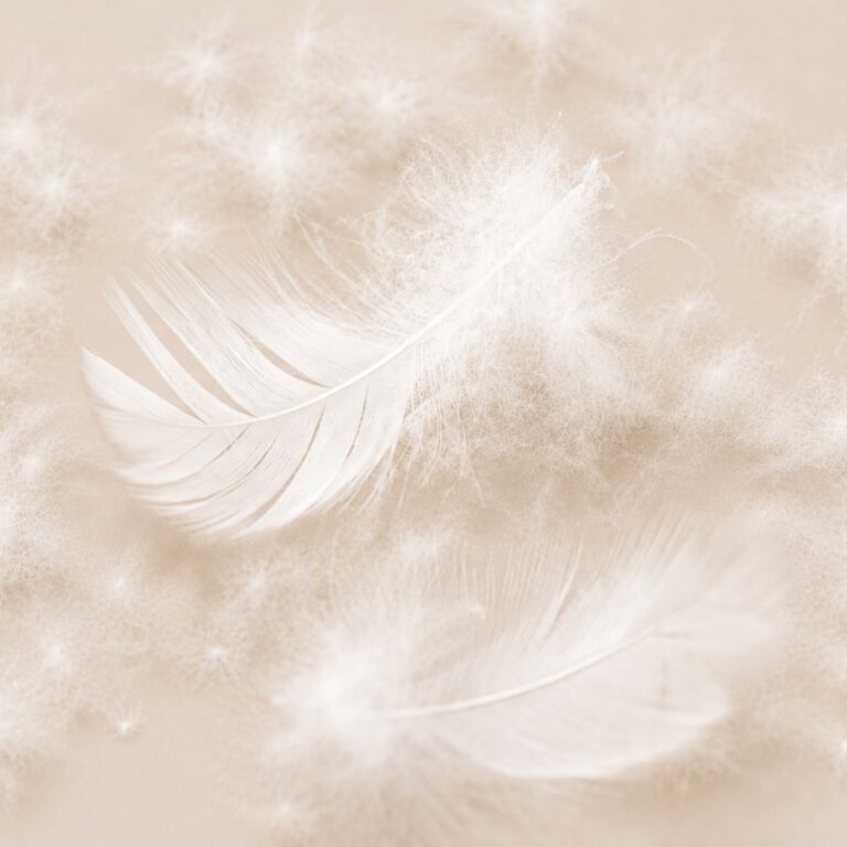 duvet-feathers-4