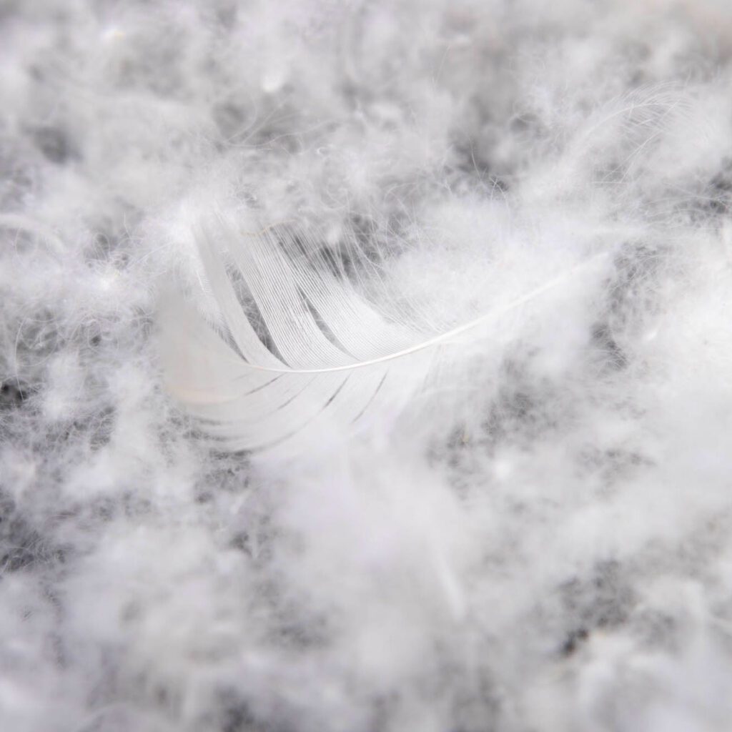 duvet-feathers-4