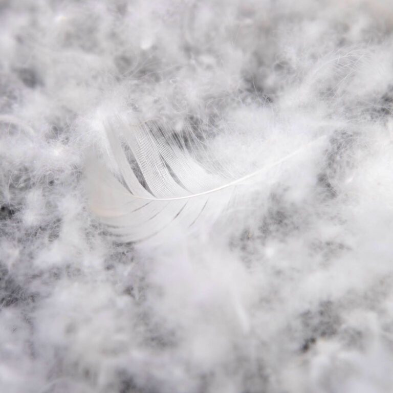 duvet-feathers-4
