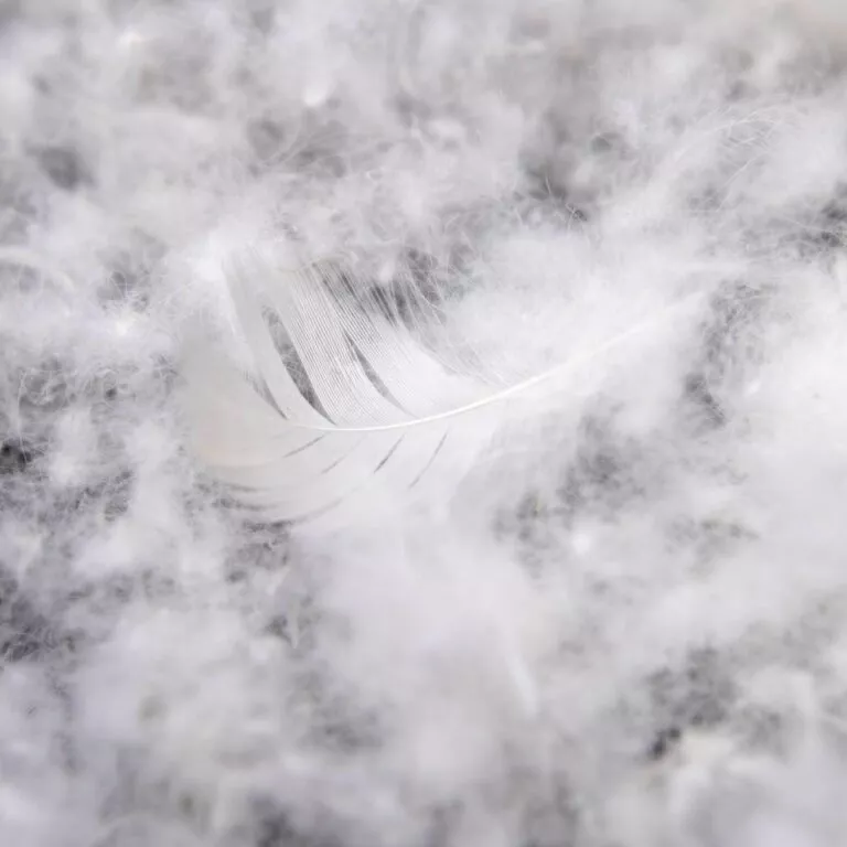 duvet-feathers-4