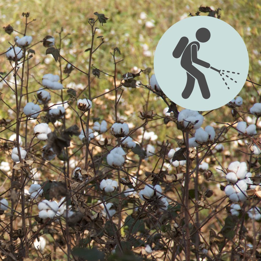 Empreinte écologique – Pesticides Empreinte écologique - Pesticides