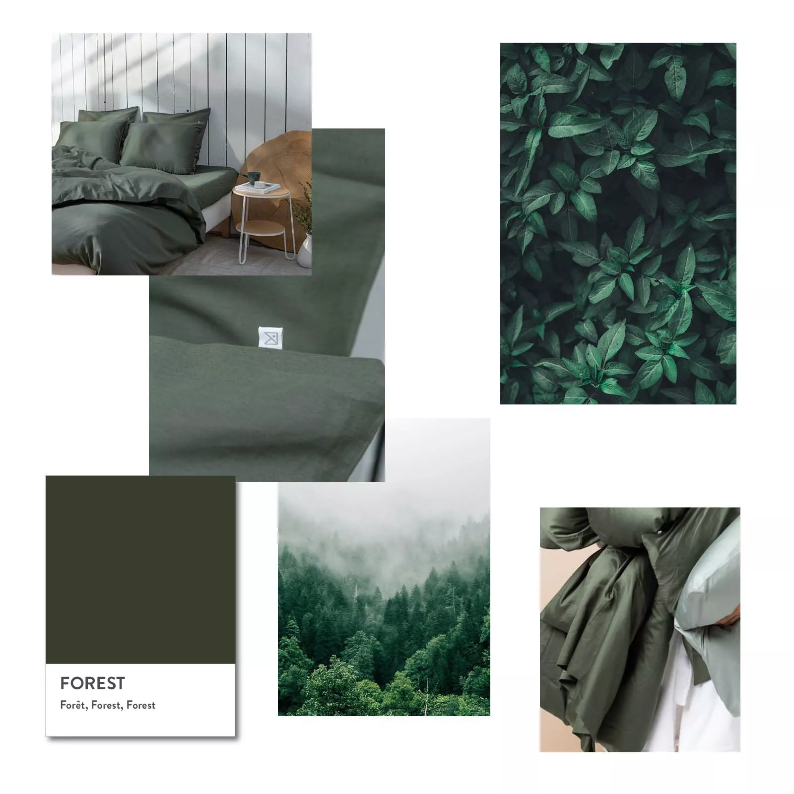 kalani-colours-forest kalani-colours-forest