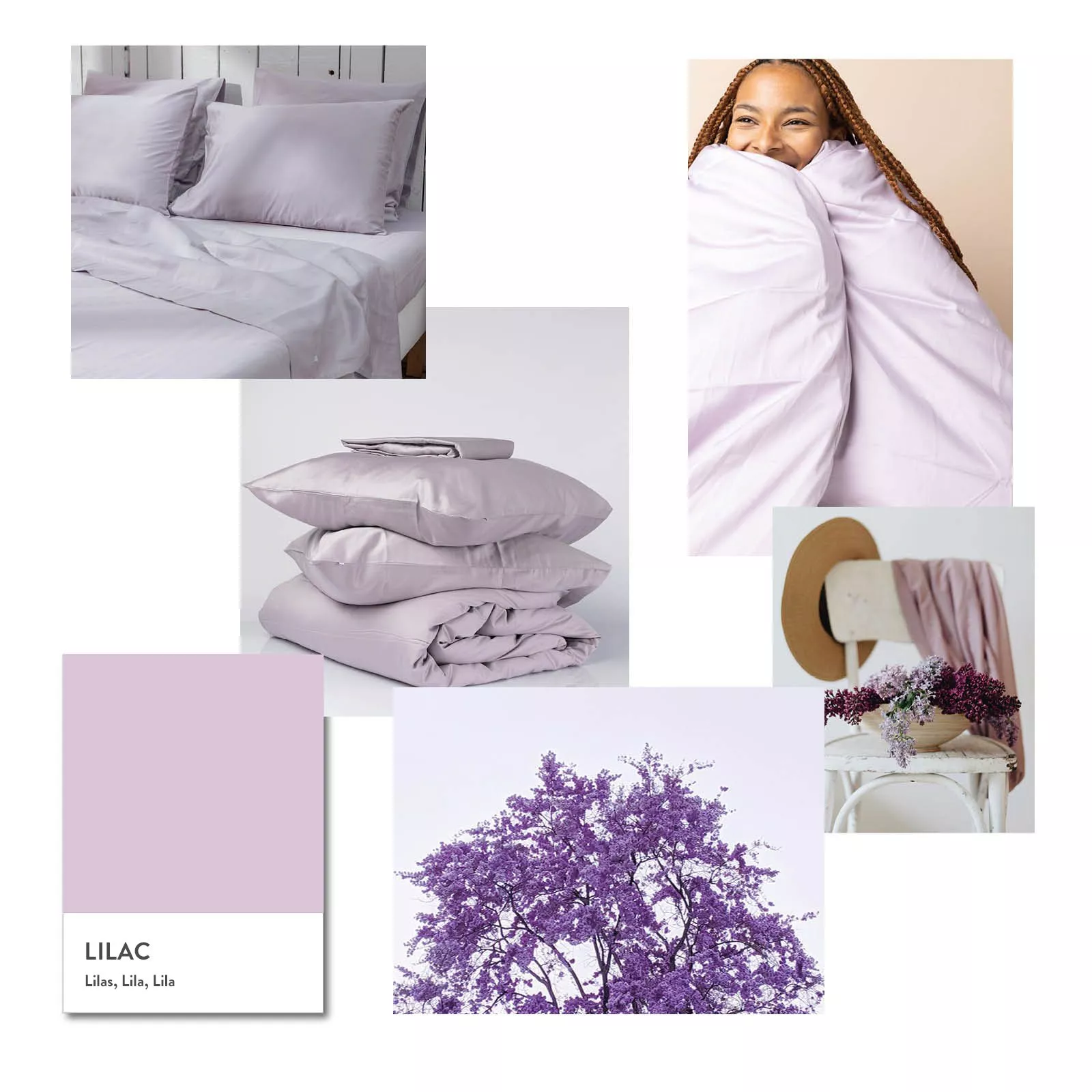 kalani-colours-lilac kalani-colours-lilac