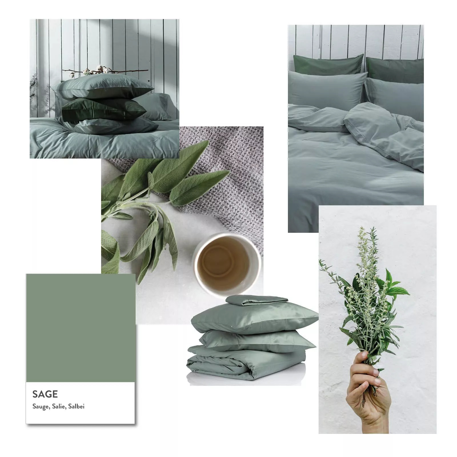 kalani-colours-sage kalani-colours-sage