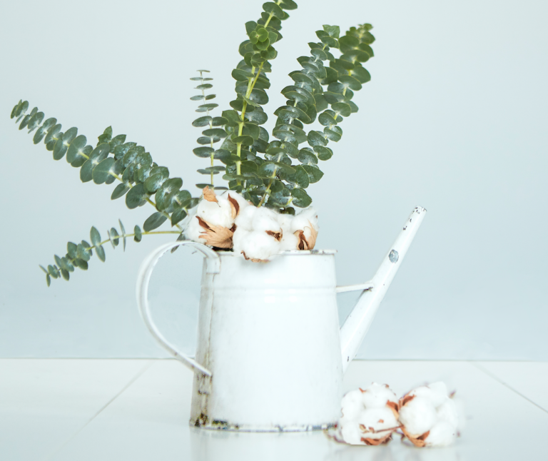 The 6 good resolutions of 2018, for a healthier life in harmony with nature.