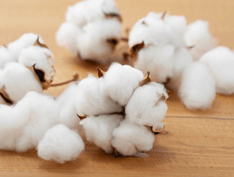organic cotton_blog