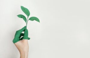 Eco-verantwoordelijkheid: wij praten erover als merk!