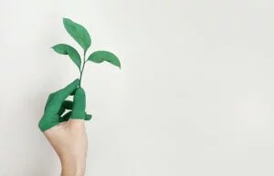 Eco-verantwoordelijkheid: wij praten erover als merk!
