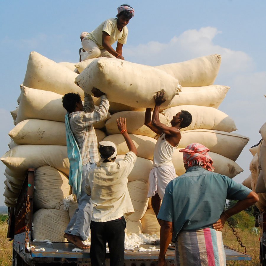 Production – Cotton Production - Cotton